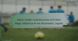 Nacer Chadli: Contribuciones al fútbol belga, Influencia en los aficionados, Legado
